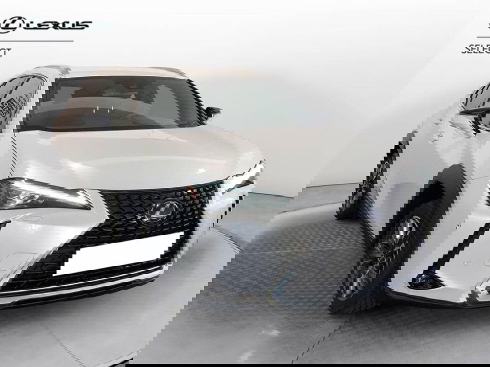 Lexus UX usata a Torino (3)
