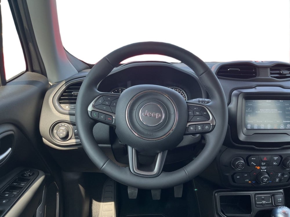 Jeep Renegade usata a Torino (10)