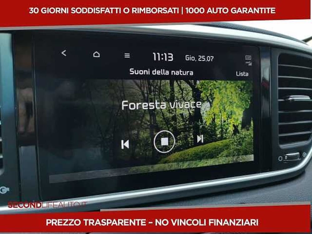 Kia Sportage usata a Chieti (12)