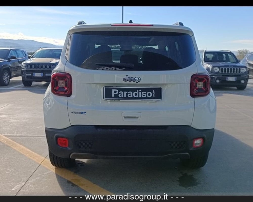 Jeep Renegade nuova a Catanzaro (16)