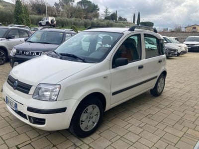 Fiat Panda 1.3 MJT 16V DPF Dynamic  del 2007 usata a Cortona