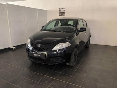 Lancia Ypsilon 1.2 69 CV 5 porte Gold  del 2019 usata a Torino