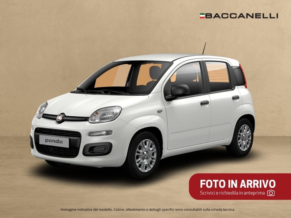 Fiat Panda usata a Bergamo