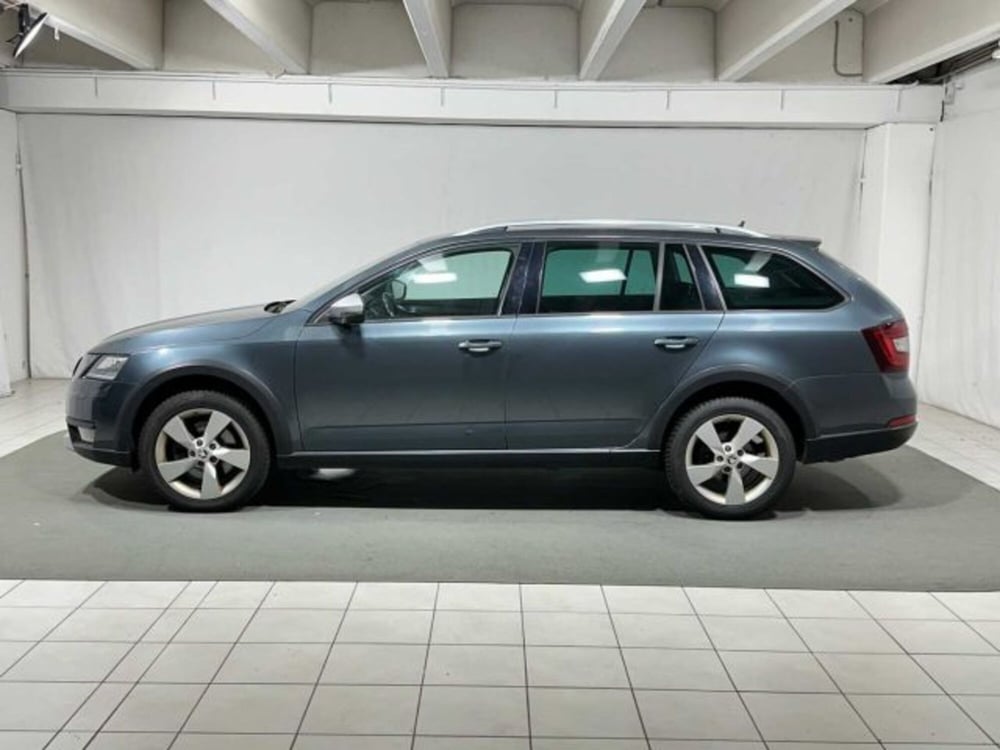 Skoda Octavia Station Wagon usata a Sondrio (2)