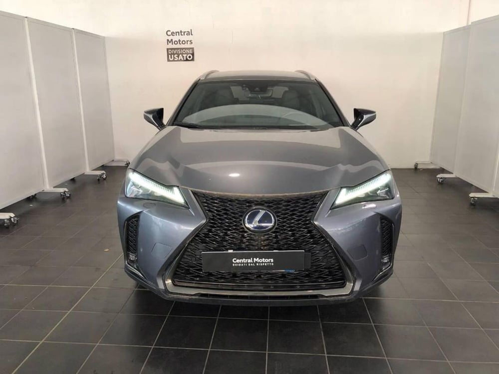 Lexus UX usata a Torino (2)