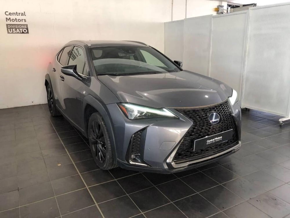 Lexus UX usata a Torino (3)