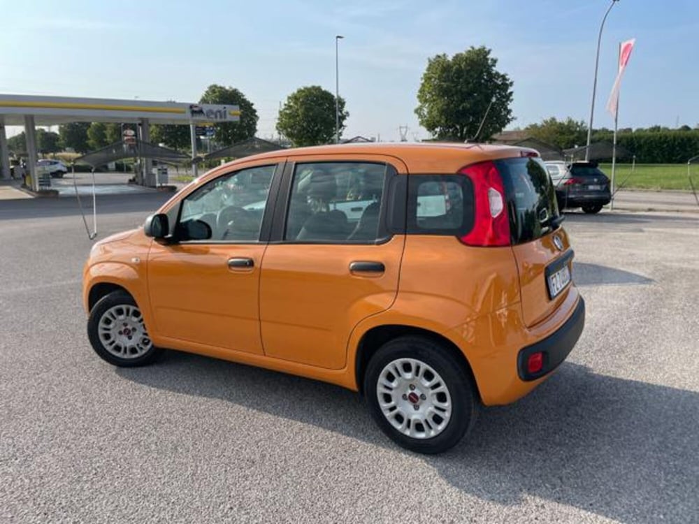 Fiat Panda usata a Pordenone (3)