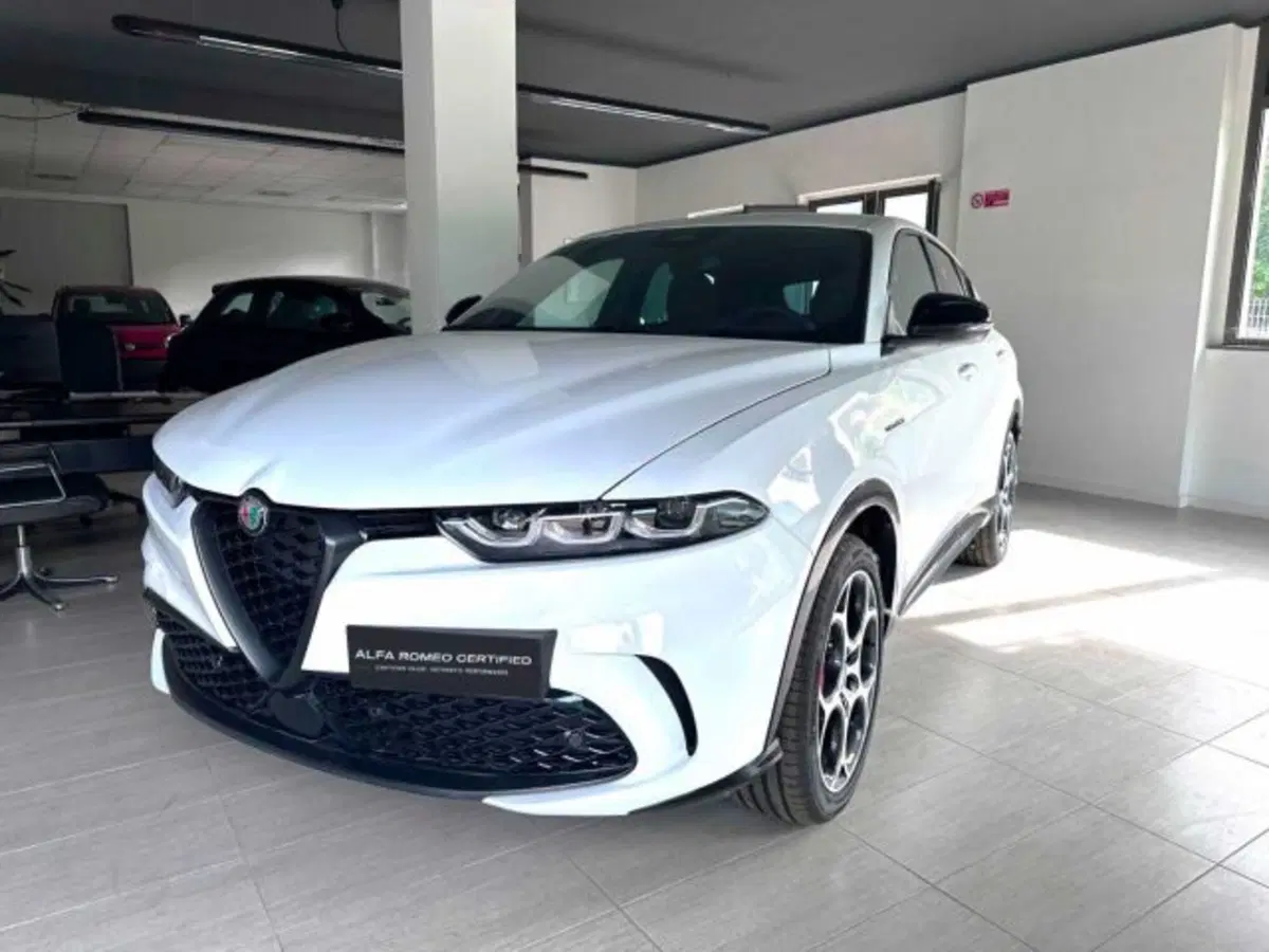 Alfa Romeo Tonale usata a Sondrio