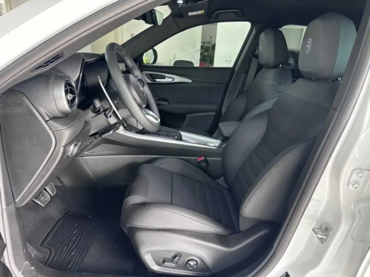 Alfa Romeo Tonale usata a Sondrio (10)