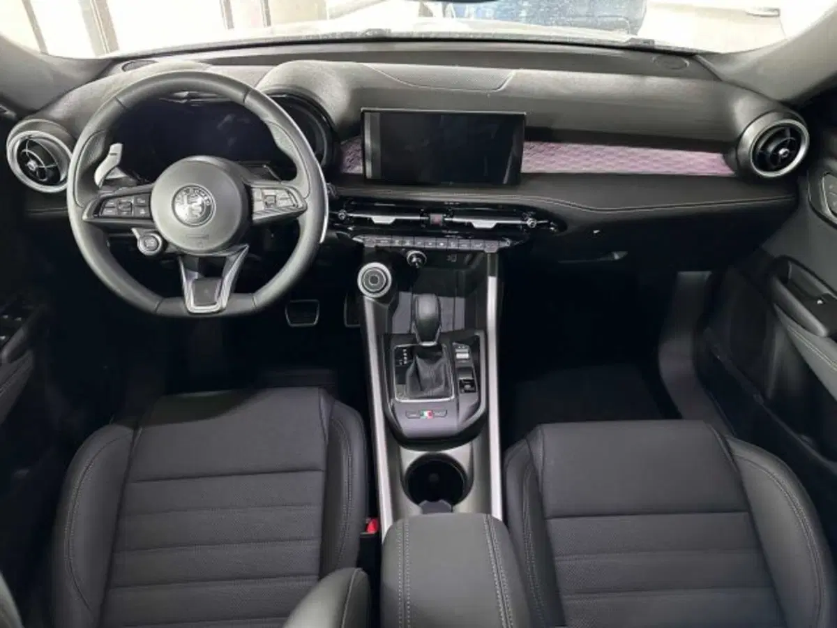 Alfa Romeo Tonale usata a Sondrio (12)