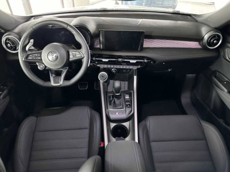 Alfa Romeo Tonale usata a Sondrio (12)
