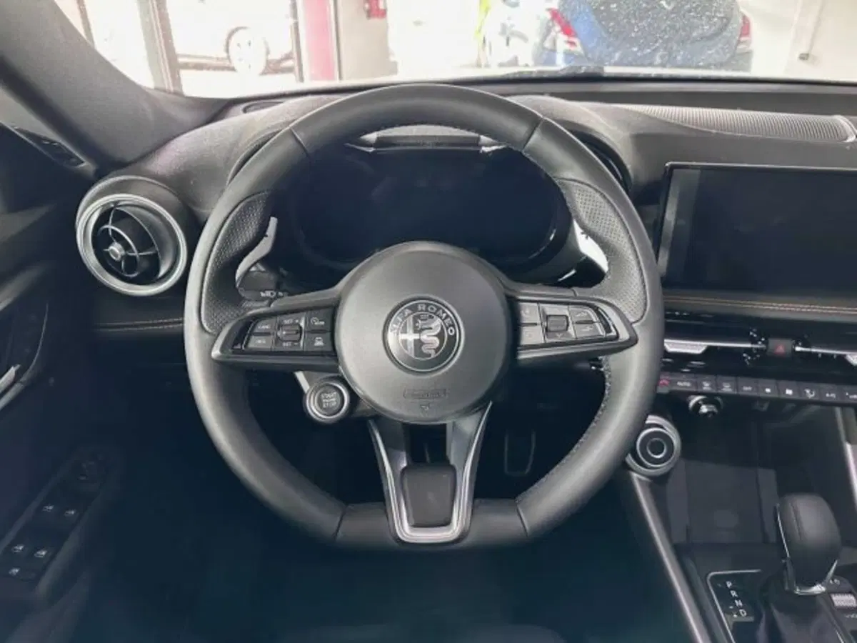 Alfa Romeo Tonale usata a Sondrio (14)