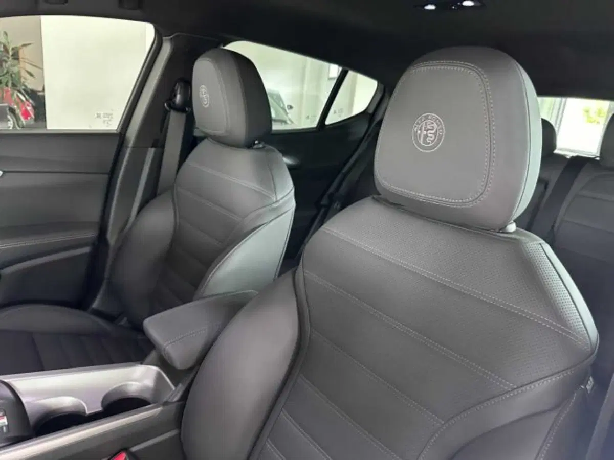 Alfa Romeo Tonale usata a Sondrio (17)