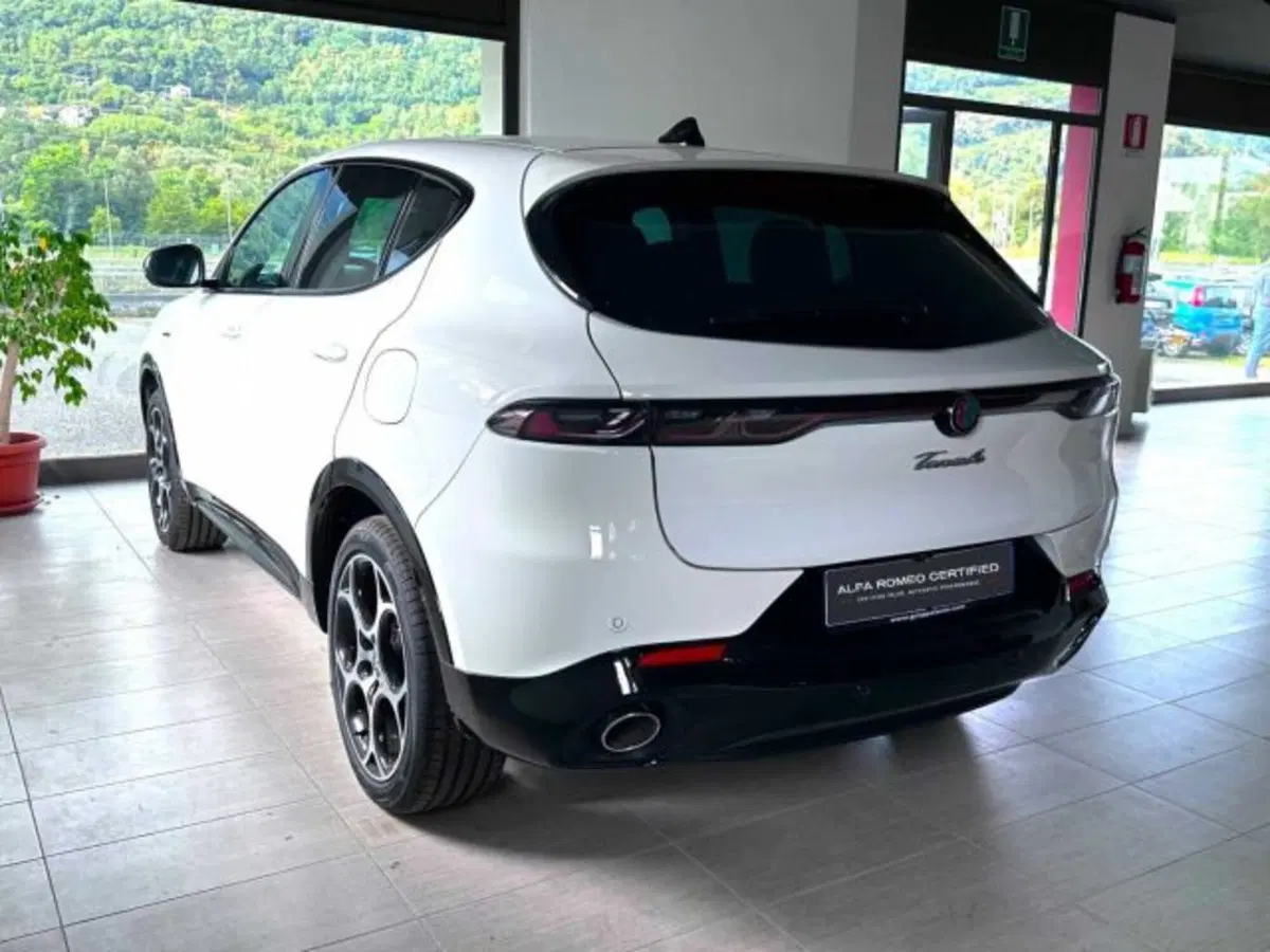 Alfa Romeo Tonale usata a Sondrio (3)