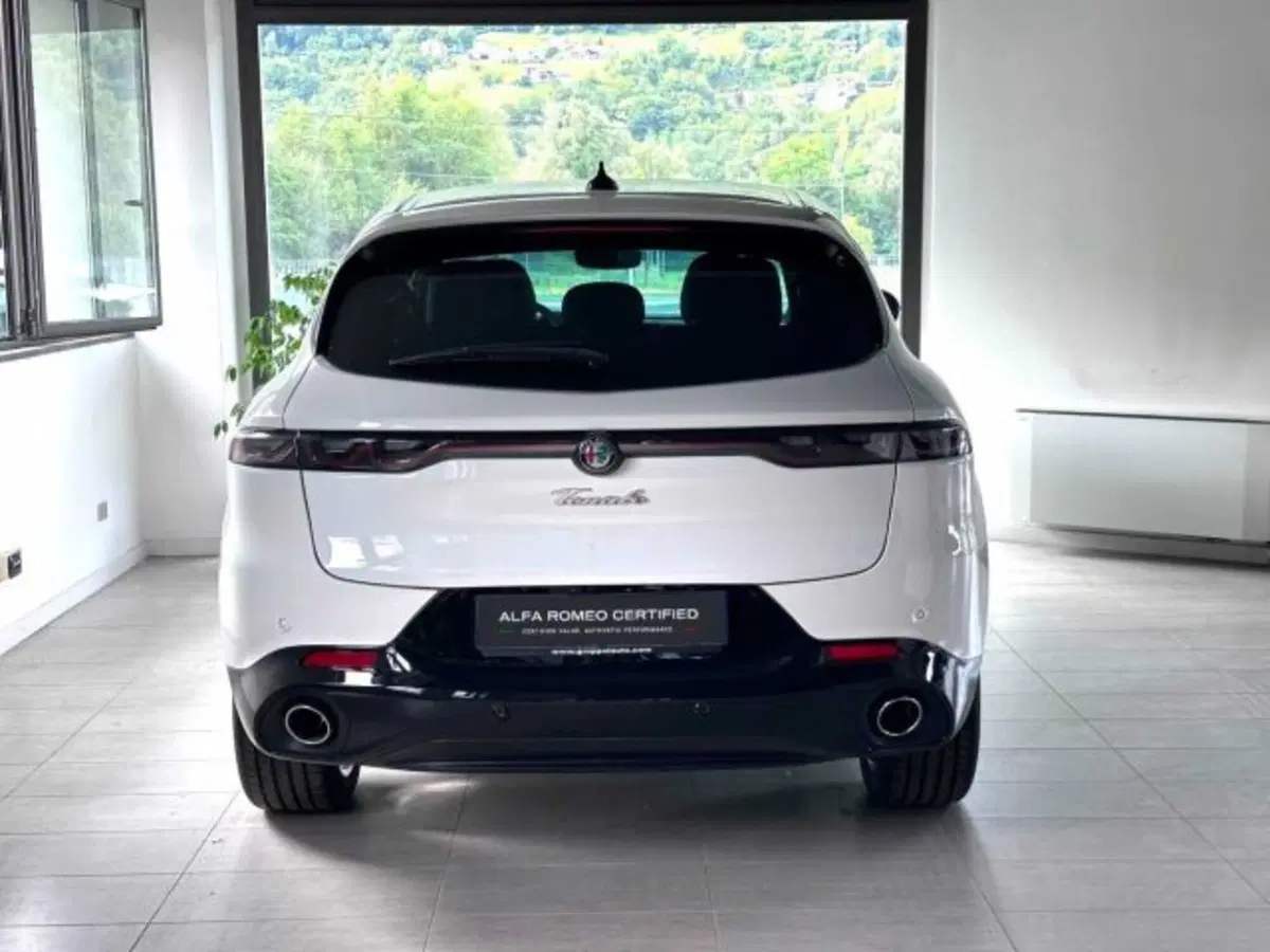 Alfa Romeo Tonale usata a Sondrio (4)