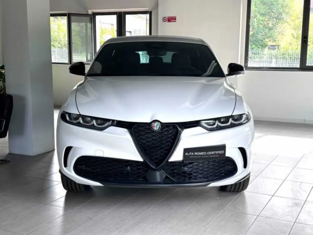Alfa Romeo Tonale usata a Sondrio (8)