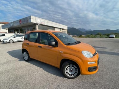 Fiat Panda 1.2 Easy  del 2019 usata a Maniago