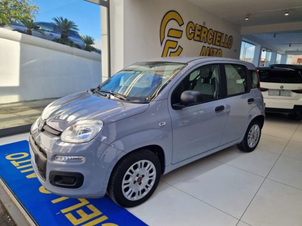 Fiat Panda usata a Napoli (2)