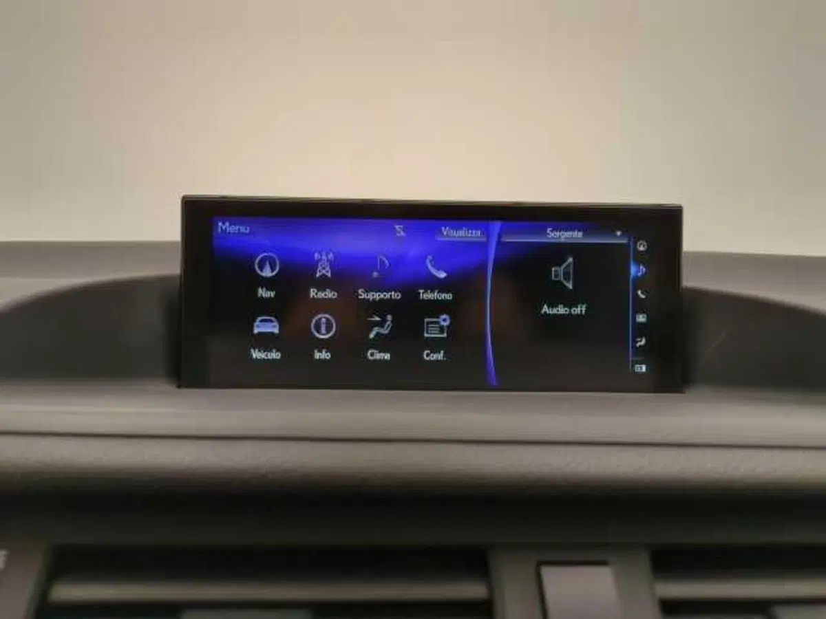 Lexus CT usata a Avellino (19)