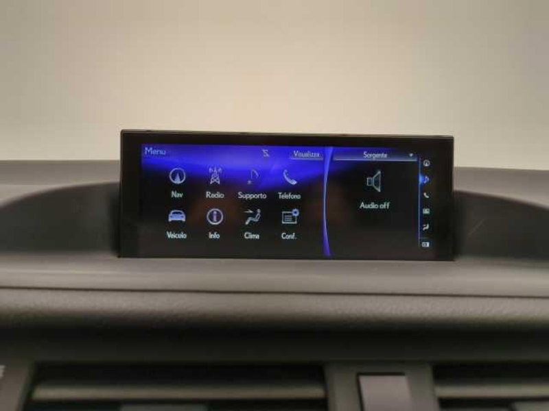 Lexus CT usata a Avellino (19)