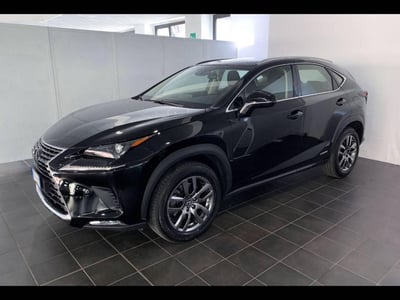 Lexus NX Hybrid 4WD Business  nuova a Torino