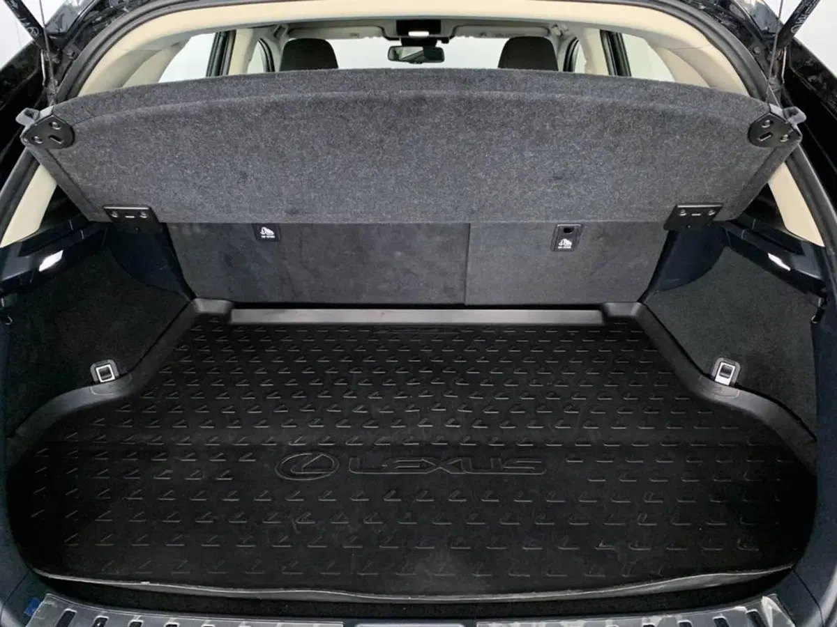Lexus NX nuova a Torino (14)
