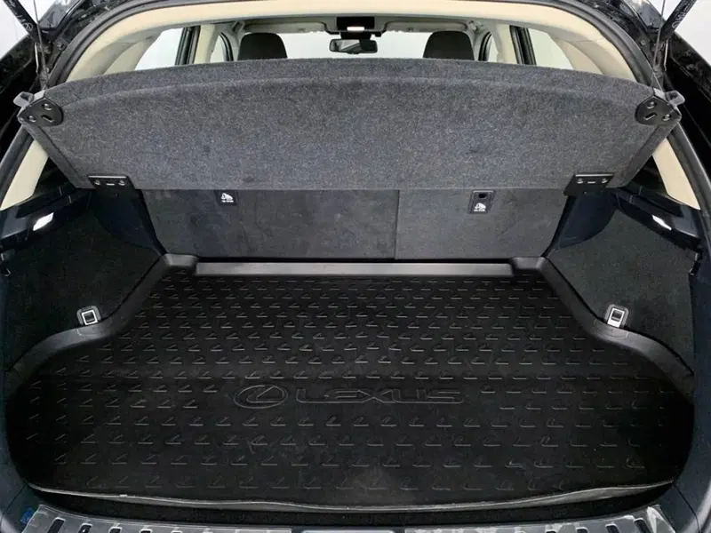 Lexus NX nuova a Torino (14)