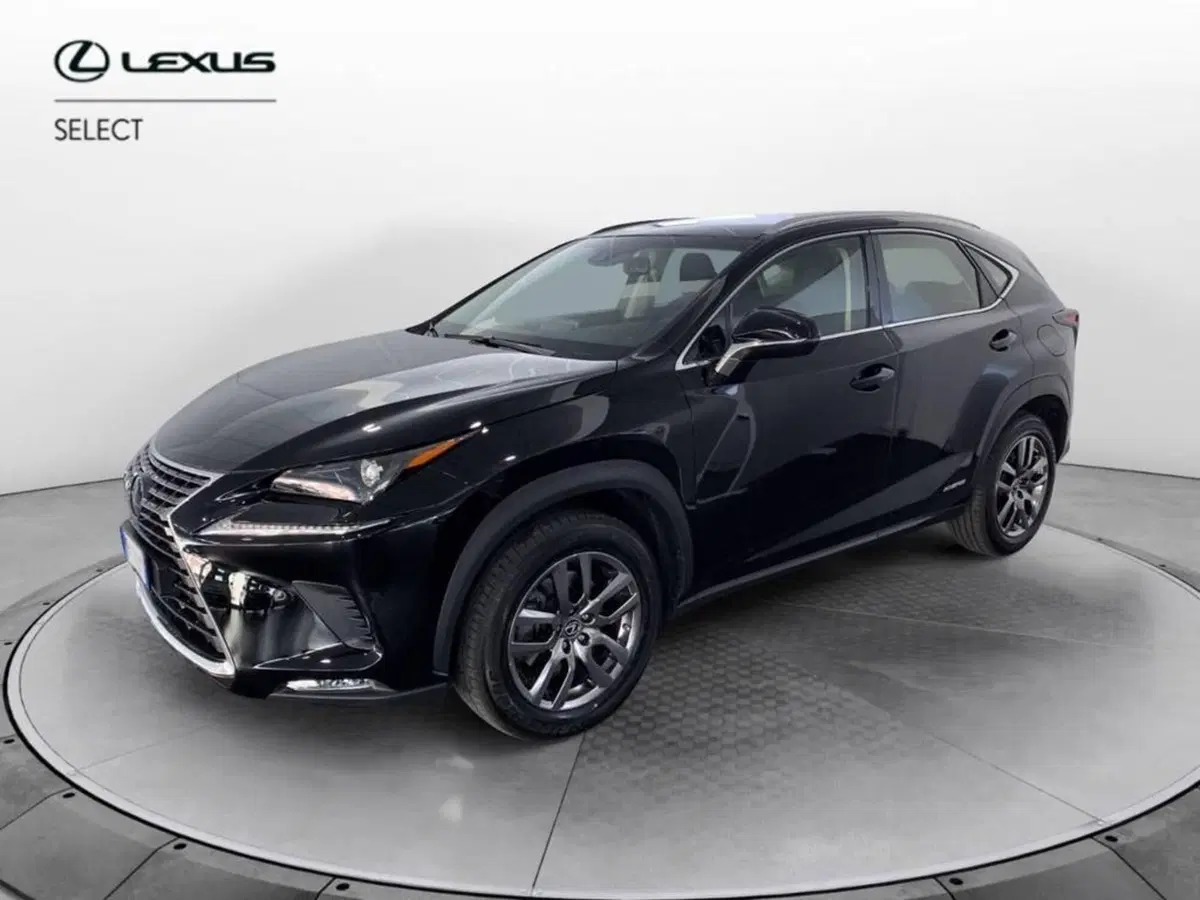 Lexus NX nuova a Torino