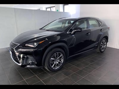 Lexus NX Hybrid 4WD Business nuova a Torino