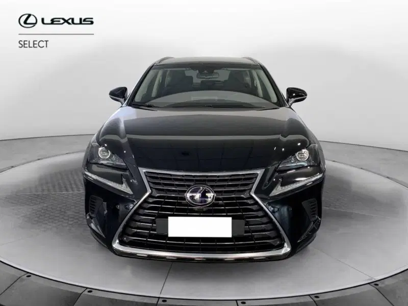 Lexus NX nuova a Torino (2)