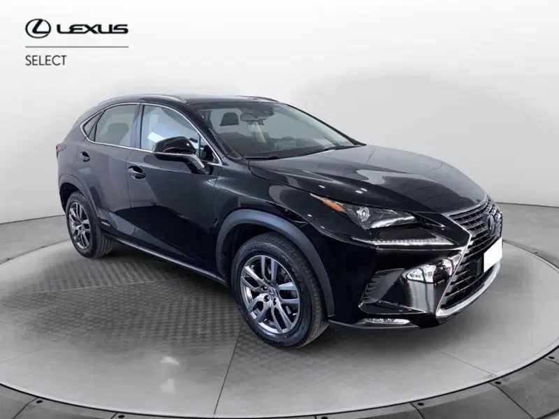 Lexus NX nuova a Torino (3)