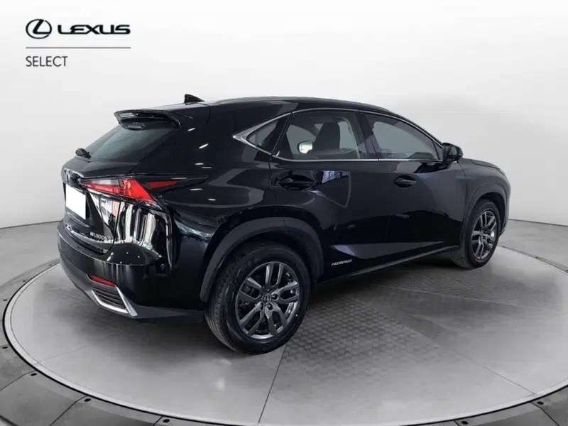 Lexus NX nuova a Torino (4)