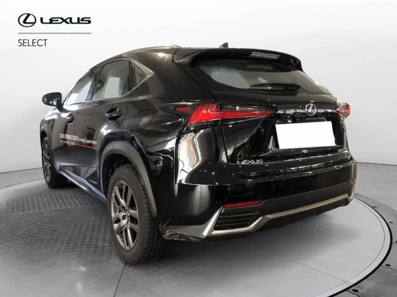 Lexus NX nuova a Torino (5)