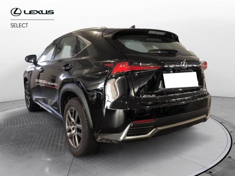 Lexus NX nuova a Torino (5)