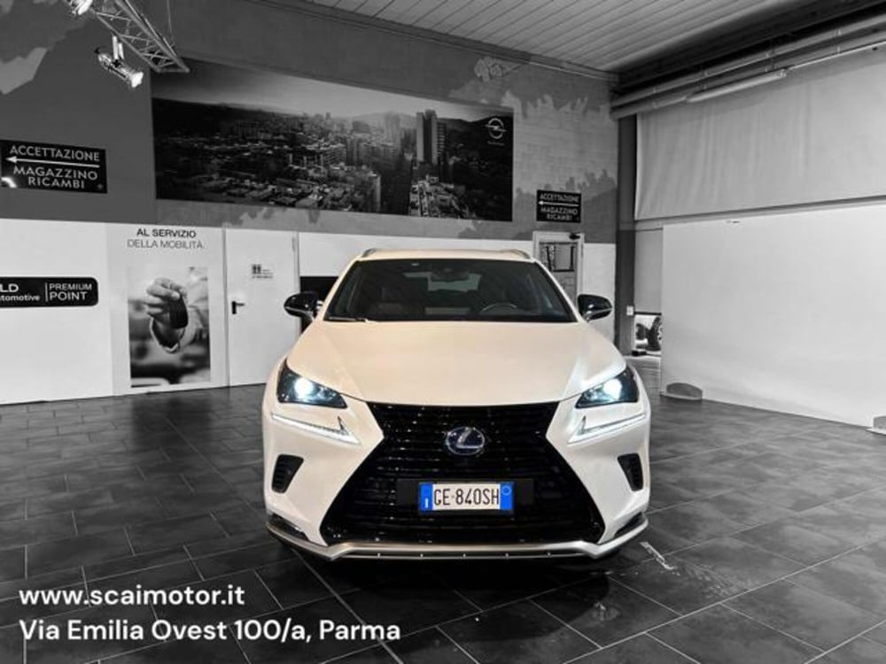 Lexus NX usata a Parma (2)