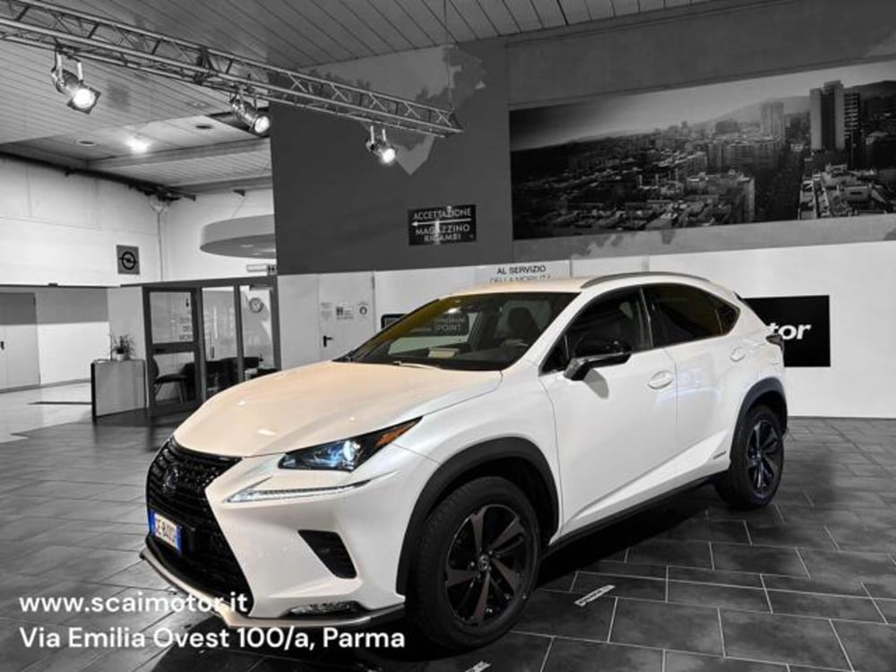 Lexus NX usata a Parma (3)