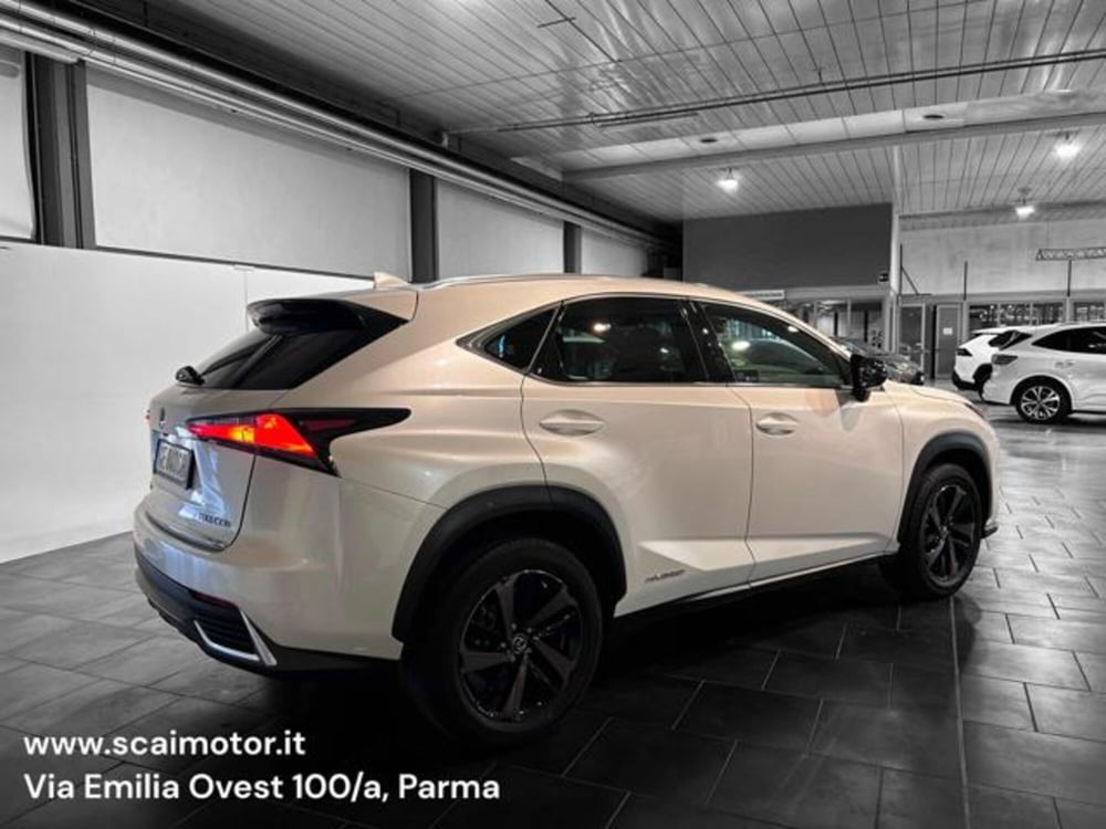 Lexus NX usata a Parma (6)