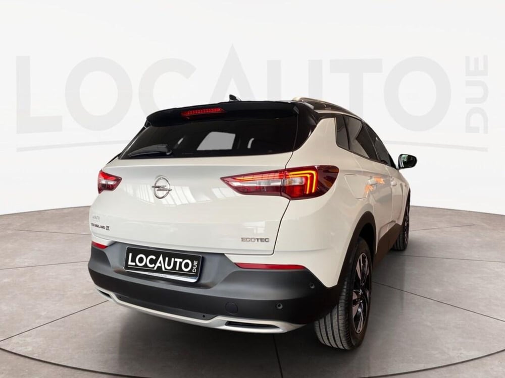 Opel Grandland X usata a Torino (4)