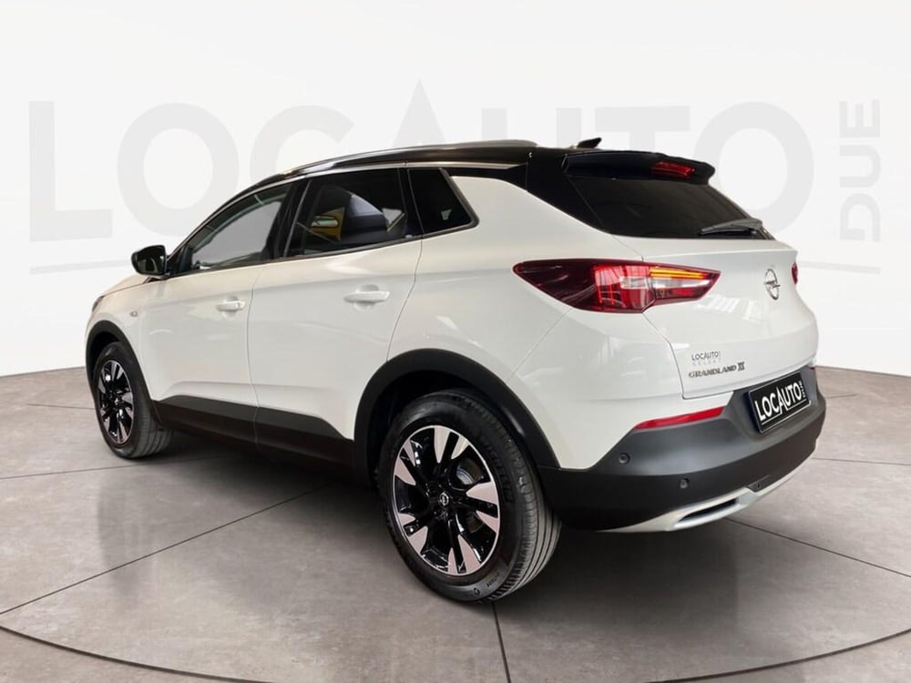 Opel Grandland X usata a Torino (5)