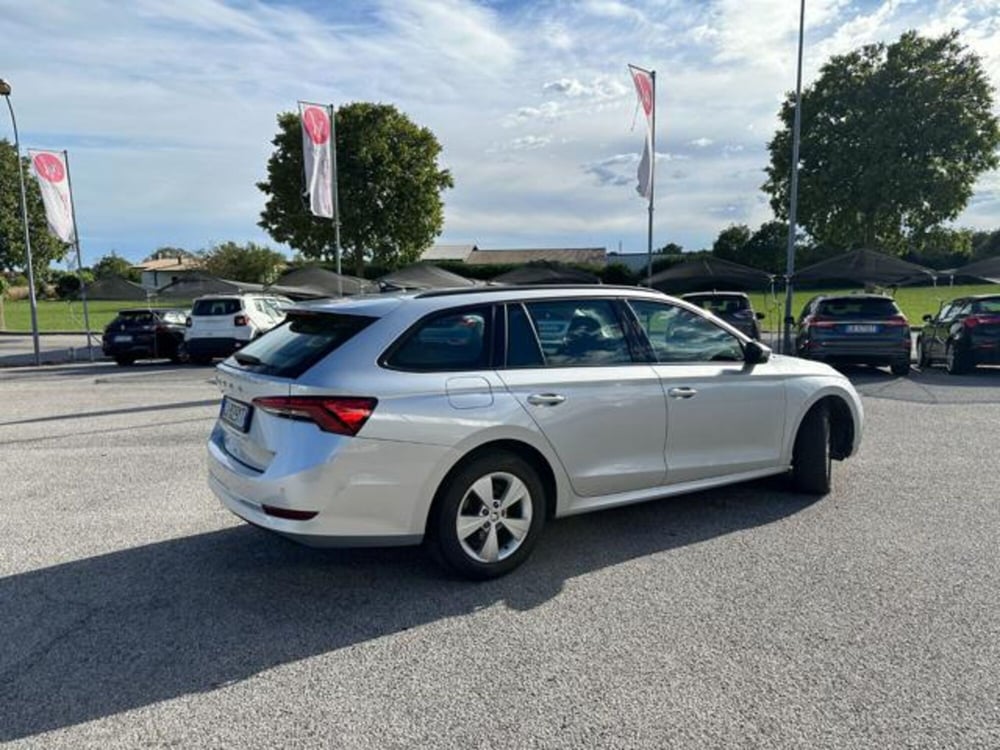 Skoda Octavia Station Wagon usata a Pordenone (4)