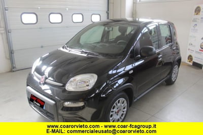 Fiat Panda 1.0 firefly hybrid s&amp;s 70cv 5p.ti del 2023 usata a Orvieto