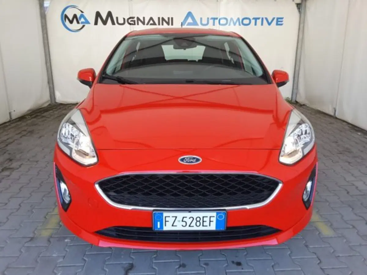 Ford Fiesta usata a Firenze