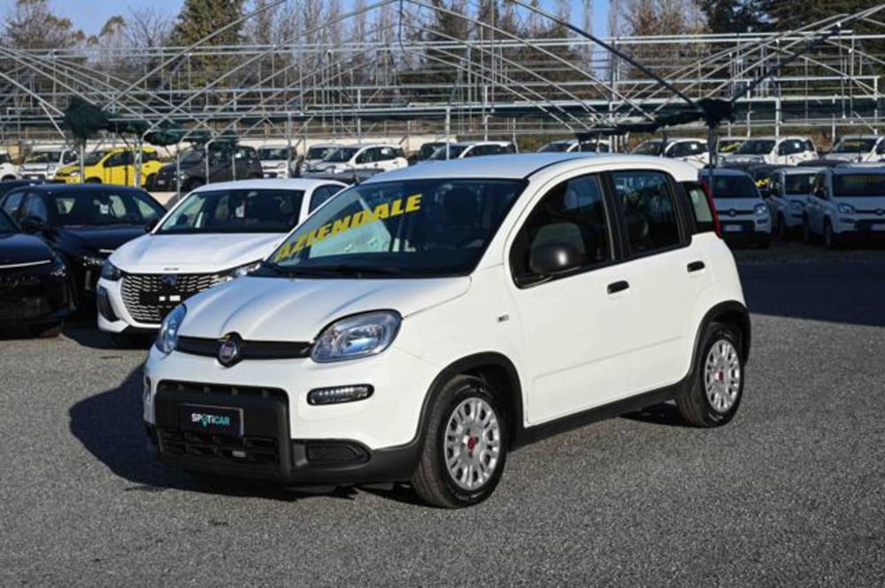 Fiat Panda usata a Torino