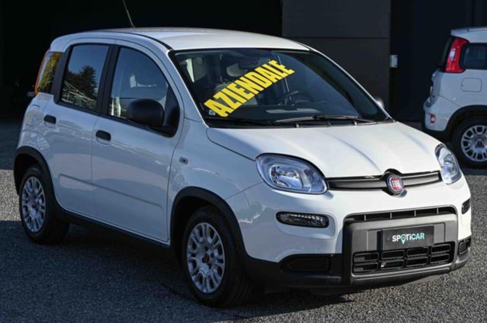 Fiat Panda usata a Torino (3)