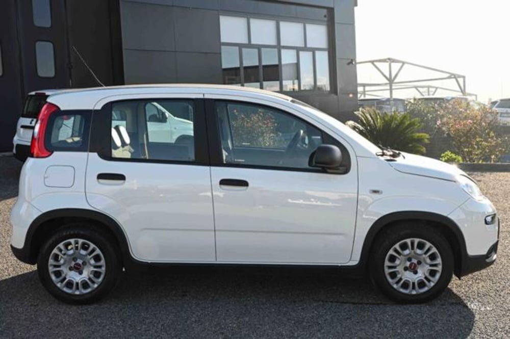 Fiat Panda usata a Torino (4)