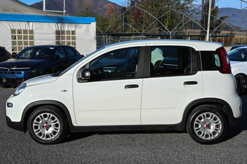 Fiat Panda usata a Torino (8)