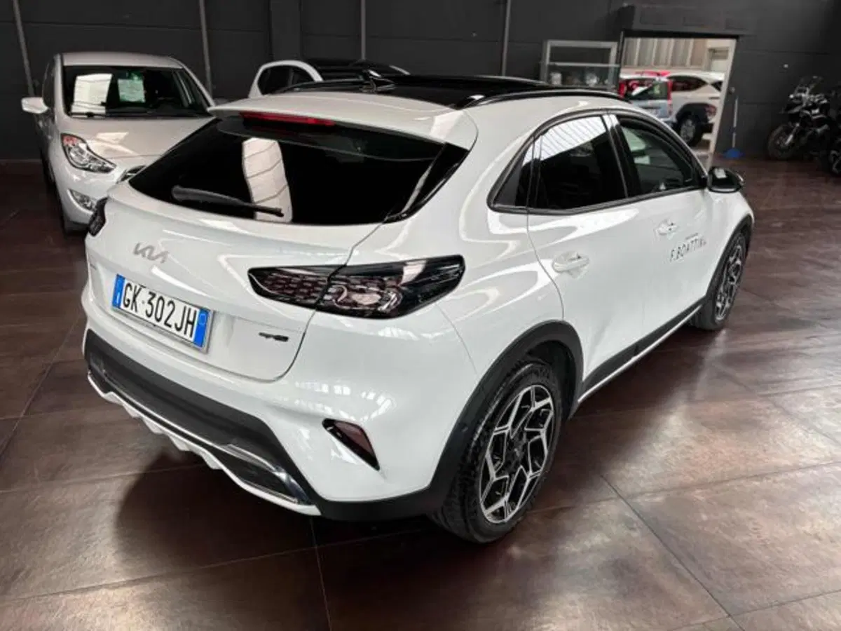 Kia XCeed usata a Pesaro-Urbino (4)