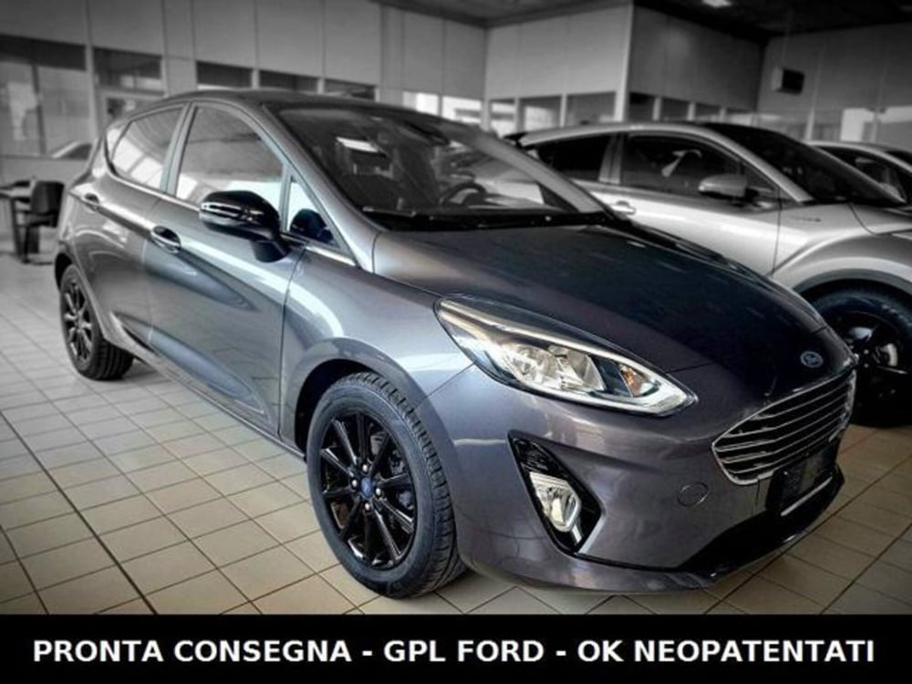 Ford Fiesta usata a Padova