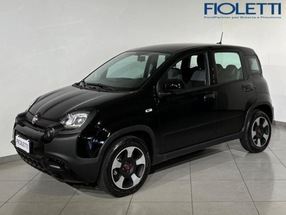 Fiat Panda Cross usata a Brescia