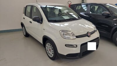 Fiat Panda 1.0 firefly hybrid s&amp;s 70cv nuova a Palazzolo sull&#039;Oglio